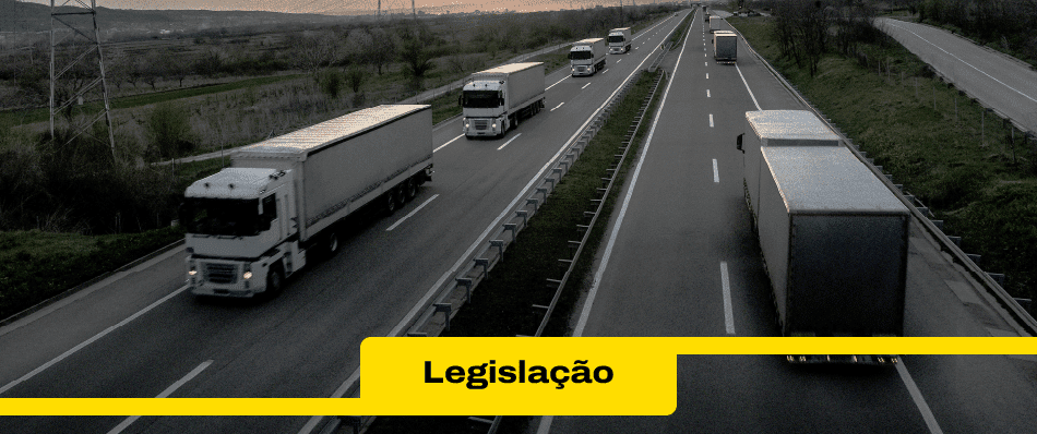 Tudo sobre DT-e