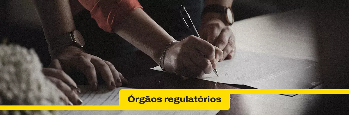 Quais são os órgãos regulatórios do transporte rodoviário de cargas?