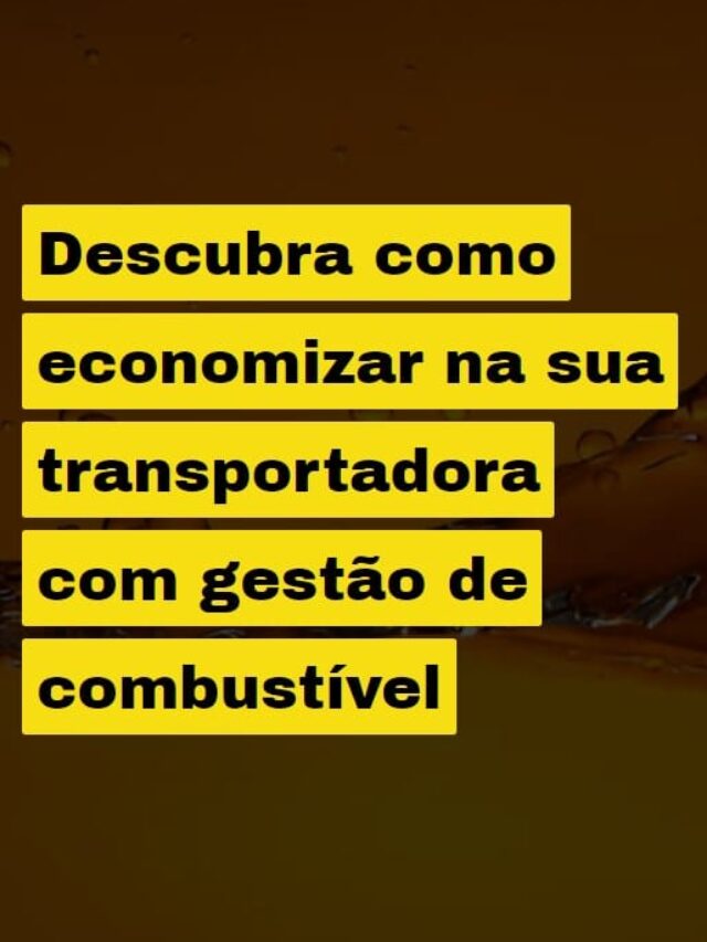 capa-28-06-24-3